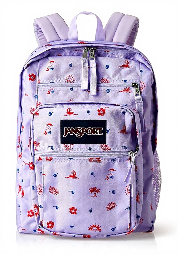 JanSport Laptop Backpack Unisex 15-Inch Sleeve Ergonomic